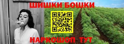 тгк Новозыбков